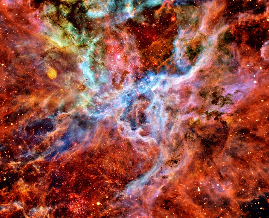 Tarantula Nebula Photograph by Benjamin Yeager