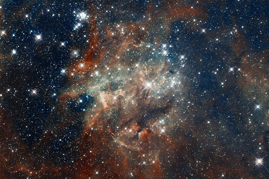 Tarantula Nebula Photograph by Eric Glaser