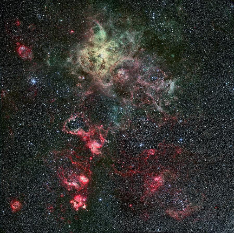 Tarantula Nebula Photograph by Eso/r. Fosbury (st-ecf)