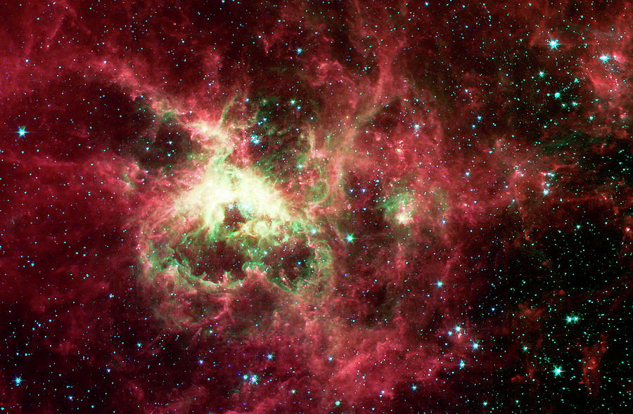 Tarantula Nebula Photograph by Nasa/jpl/caltech/science Photo Library