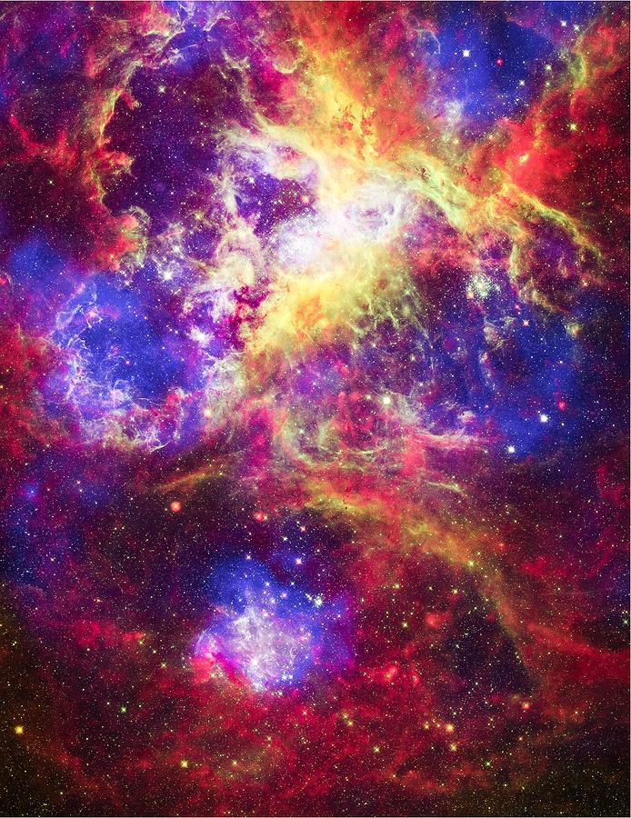 Tarantula nebulae Photograph by Eti Reid