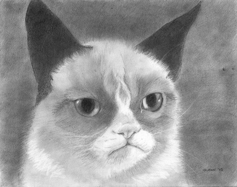 grumpy cat pencil drawing