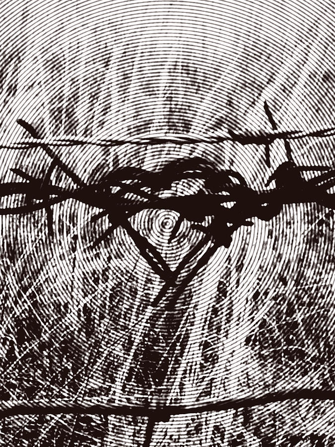 Target - Barbed Wire Love Series Mixed Media by Lesa Fine