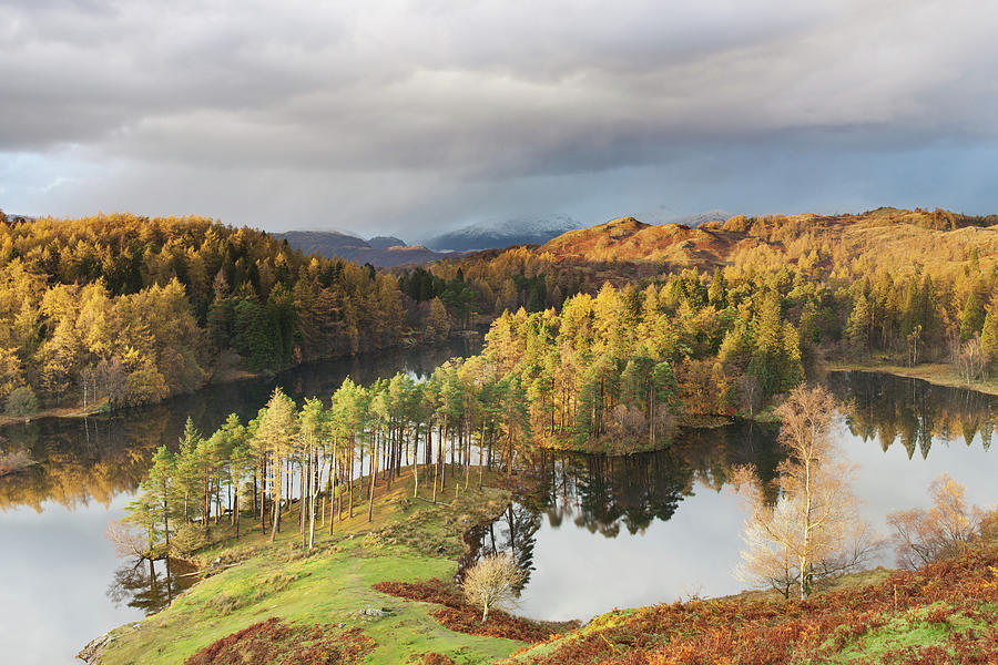 Tarn Hows Photograph by Esen Tunar Photography - Fine Art America