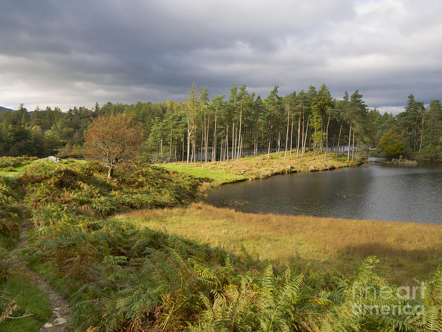 Tarn Hows in Autumn Photograph by Louise Heusinkveld