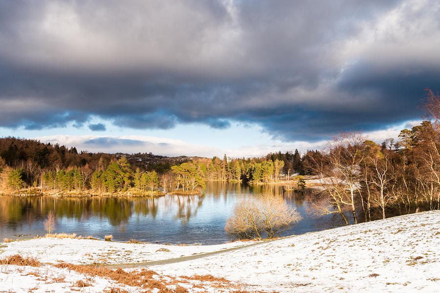 Tarn Hows In Winter Photograph