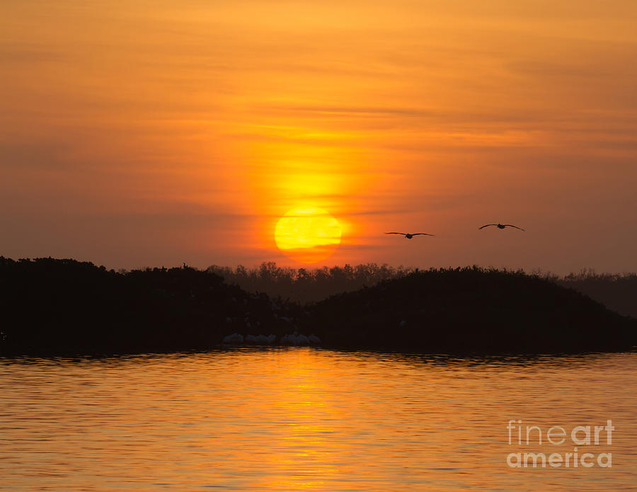 Tarpon Bay Sunset 2 Photograph by Chris Scroggins