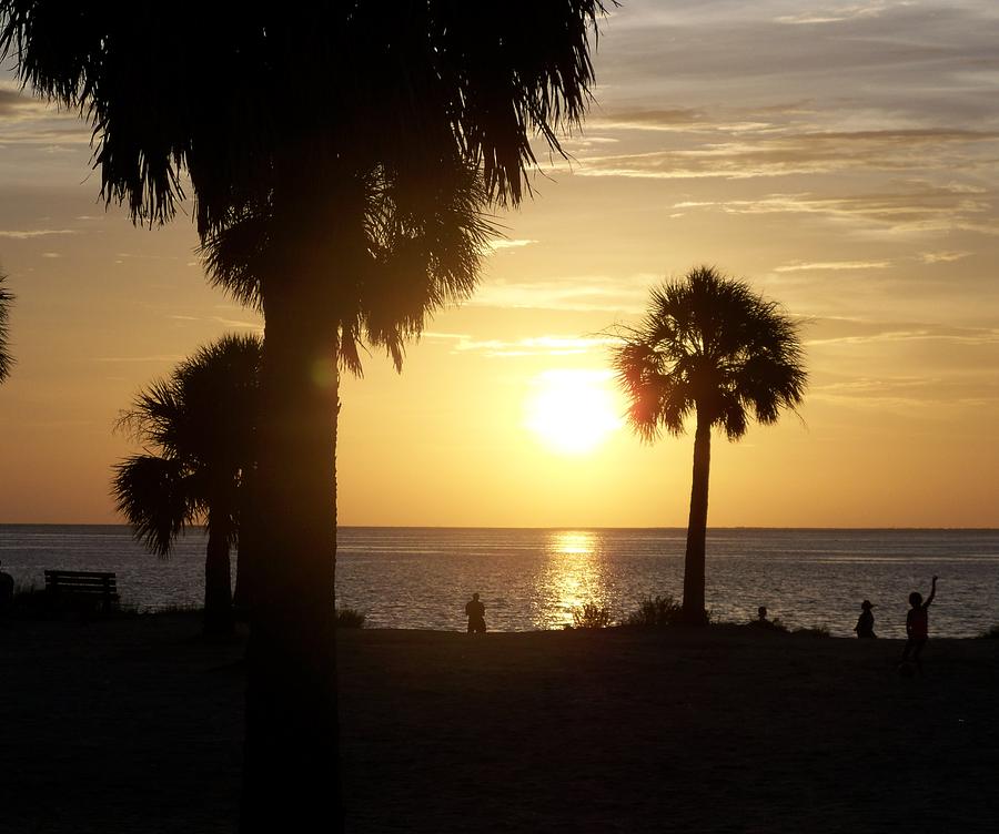 Tarpon Springs Sunset Photograph by Nancy Hopkins