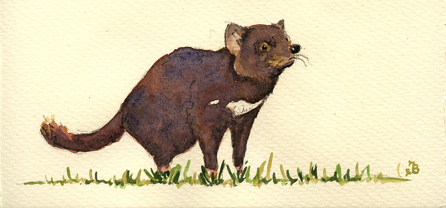 Wildlife Painting - Tasmanian devil by Juan  Bosco