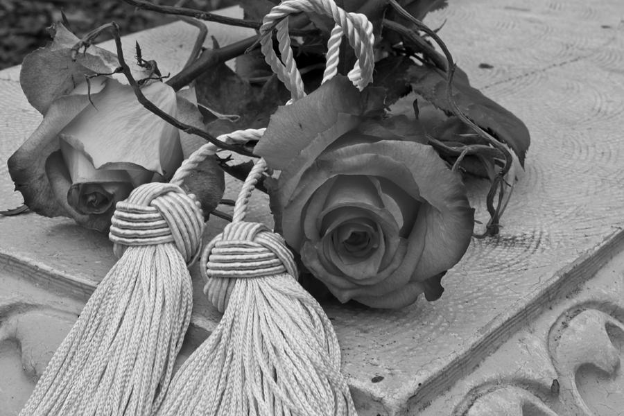 Tassels And Roses Beauty Photograph by Sandra Foster