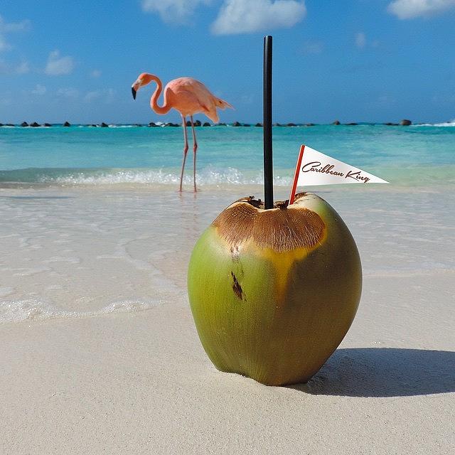 Taste The Caribbean... King! 🌴 Photograph by Christian Bendek