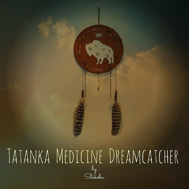 Dreamcatcher Photograph - Tatanka Medicine Dreamcatcher by Shikoba Photography