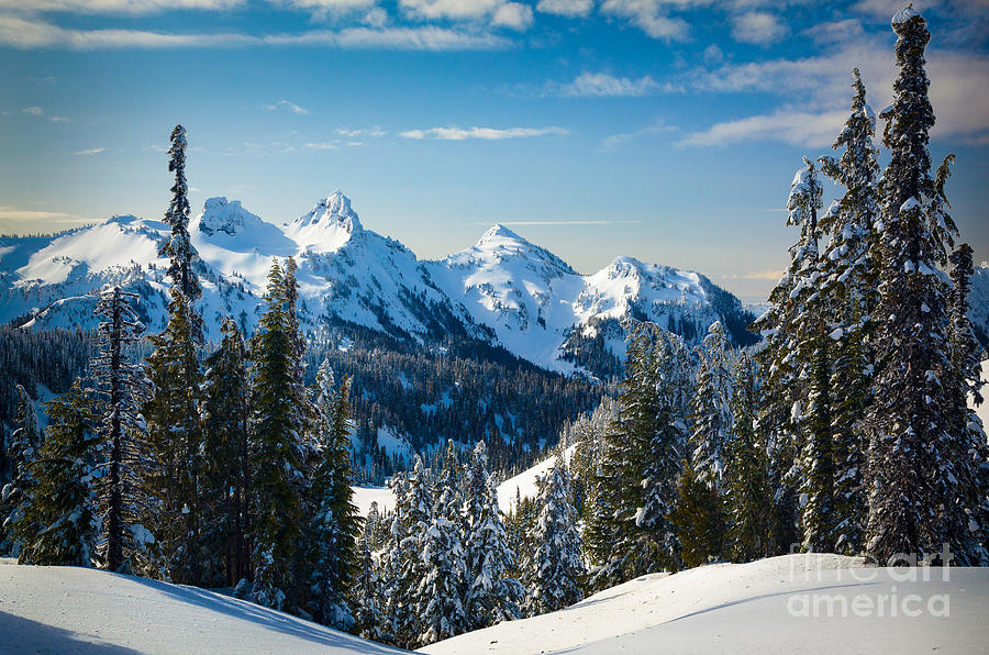 Tatoosh Winter Landscape Photograph by Inge Johnsson