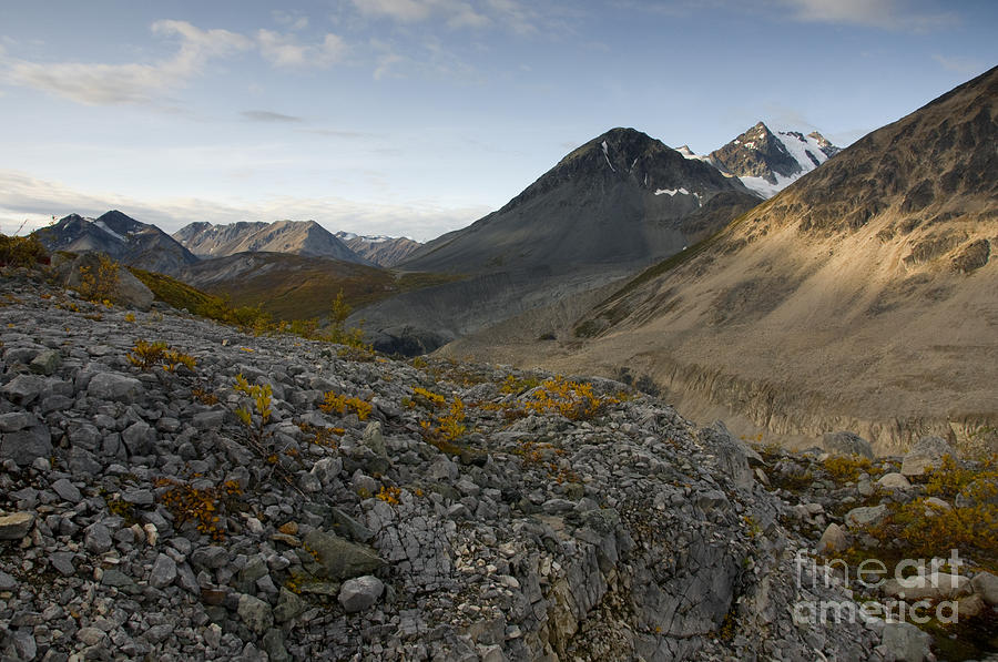 Tatshenshini-alsek Provincial Park Photograph by Mark Newman - Pixels