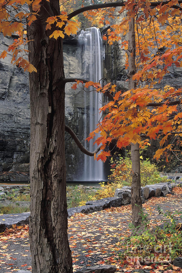 Taughannock Falls - FS000402 Photograph by Daniel Dempster
