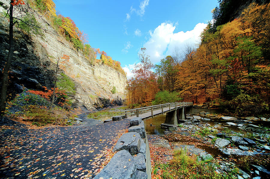 Taughannock Falls State Park Photograph by Tony Shi Photography