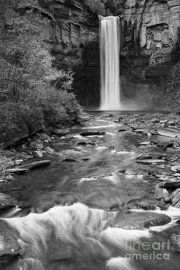 Taughannock Monochrome I Photograph by Michele Steffey