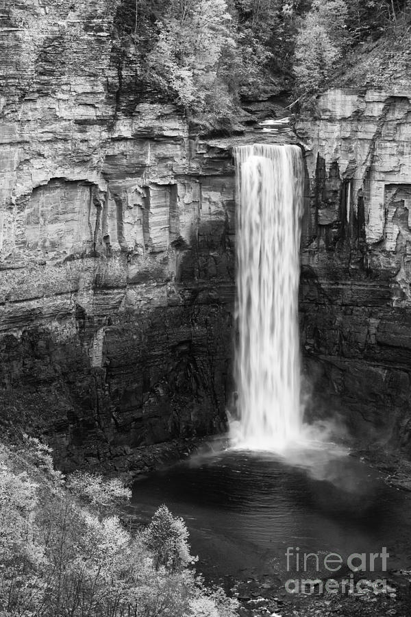 Taughannock Monochrome II Photograph by Michele Steffey