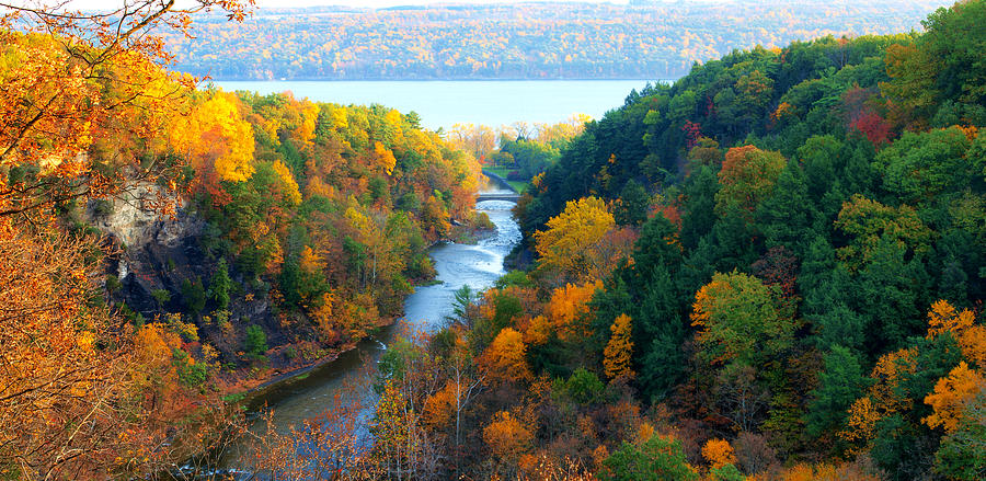 Taughannock river canyon in colorful autumn Ithaca New York Panoramic Photography  Photograph by Paul Ge