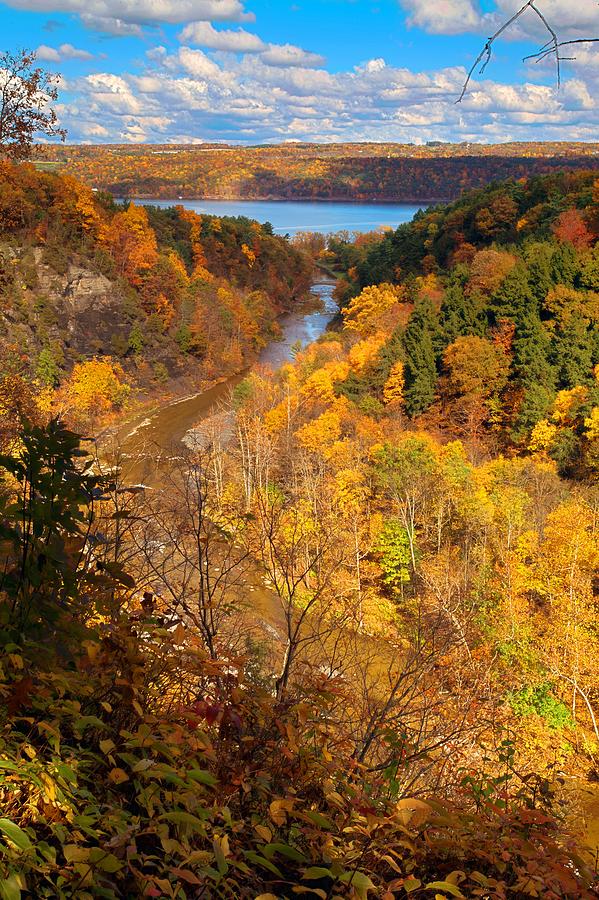 Taughannock River Canyon In Colorful fall Ithaca New York Photograph by Paul Ge