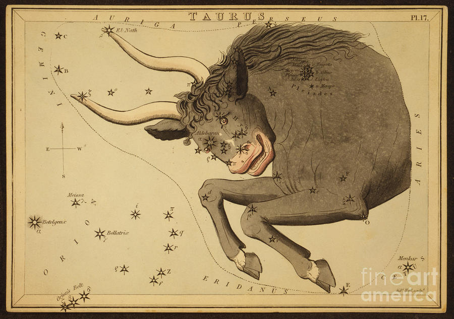 Sign Photograph - Taurus Constellation Zodiac Sign 1825 by Science Source