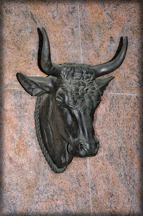 Bull Photograph - Taurus the Bull by Bill Cannon