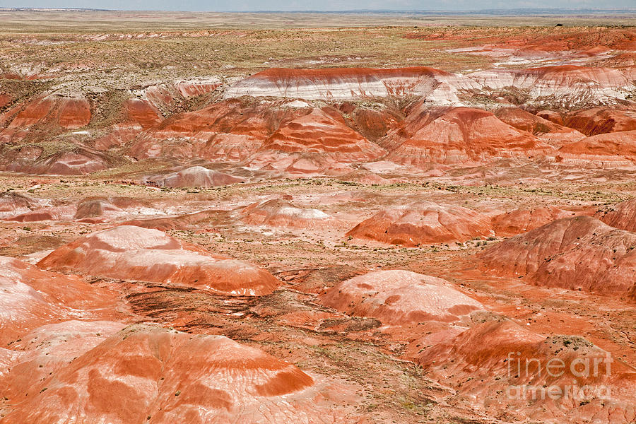 Tawa Point Painted Desert Petrified Forest National Park Photograph by Fred Stearns