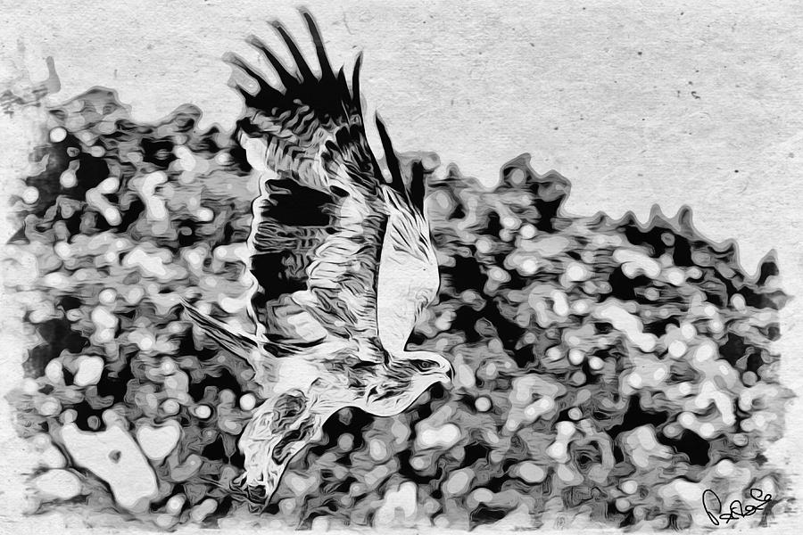 Tawny Eagle Flighing Away Photograph by Perla Copernik