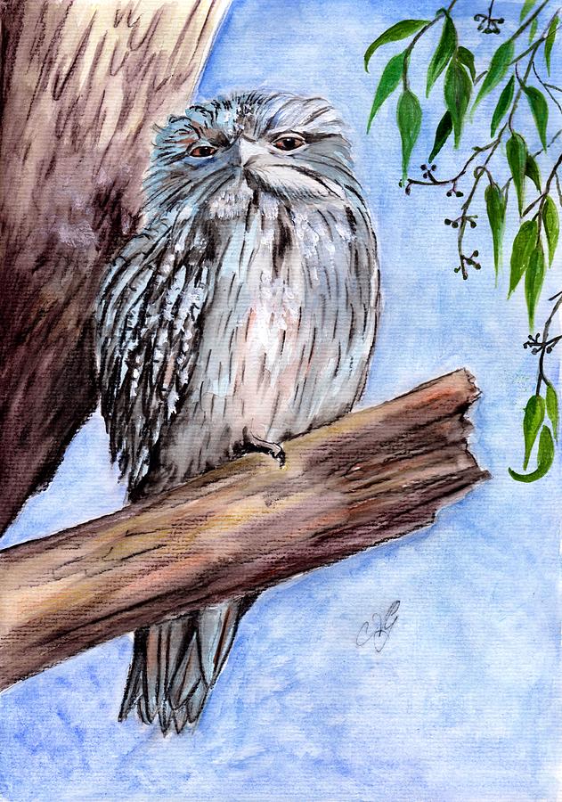 Tawny frogmouth Painting by Anne Gardner