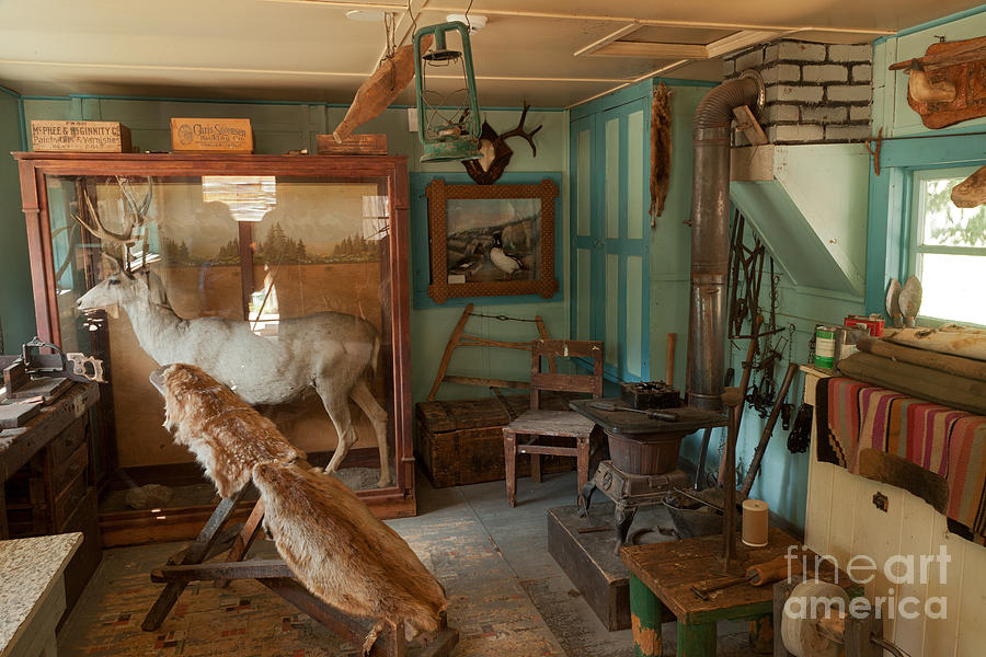 National Parks Photograph - Taxidermy at the Holzwarth Historic Site by Fred Stearns
