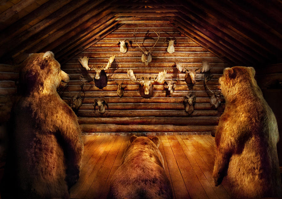 Taxidermy - Home of the three bears Photograph by Mike Savad
