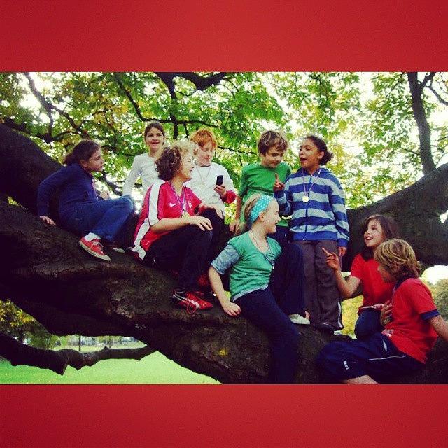 Tree Photograph - Tb To My 9th Birthday 
#tb #throwback by Caitlin OShaughnessy