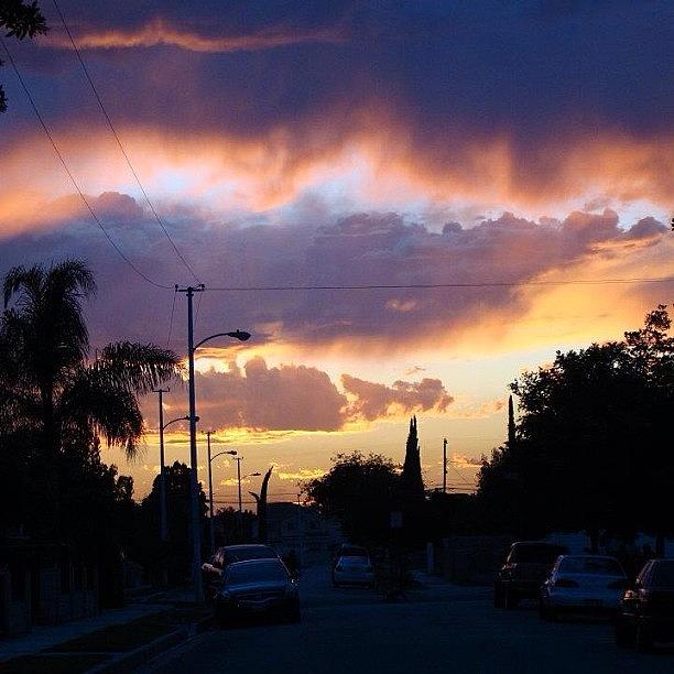 Sunset Photograph - #tbt The Sunset In My La Neighborhood by Crissy Petrone