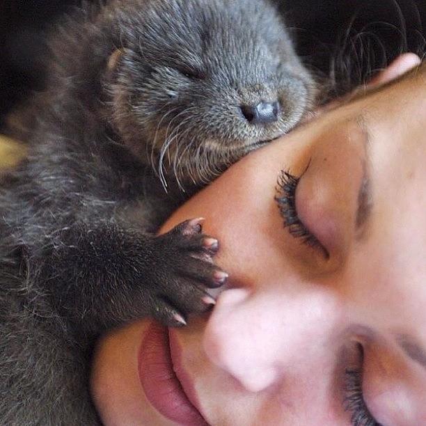 Tbt Photograph - #tbt When I Was A Girl And Had An Otter by The Fun Enthusiast 