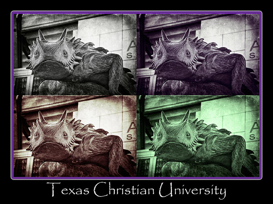 TCU Horned Frog Poster Photograph by Joan Carroll