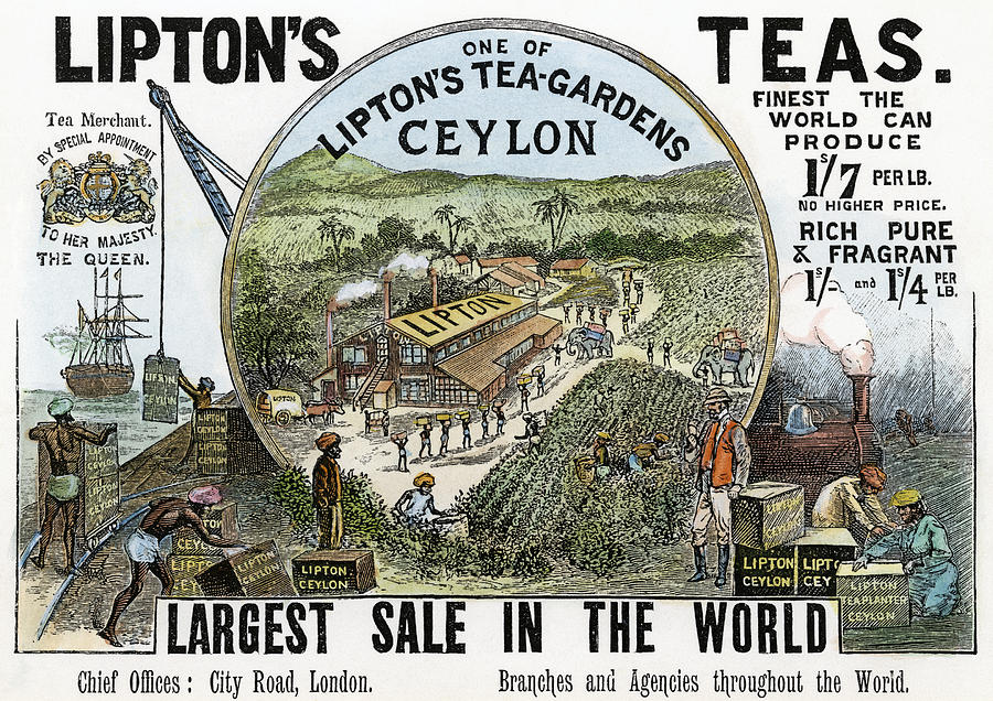 Tea Advertisement, 1896 Painting by Granger