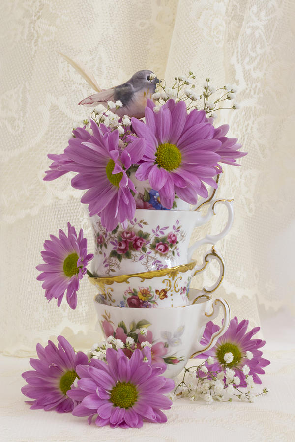 Tea Cups And Daisies  Photograph by Sandra Foster