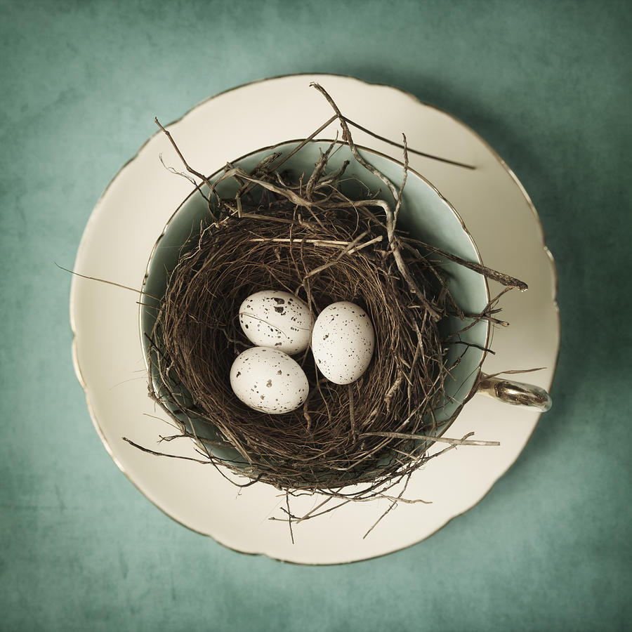 Egg Photograph - Tea for Three by Amy Weiss