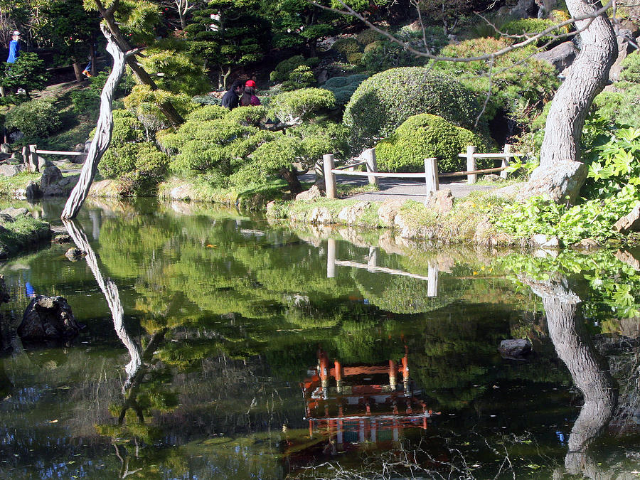Tea Garden Reflections Photograph by Rick Locke - Out of the Corner of My Eye