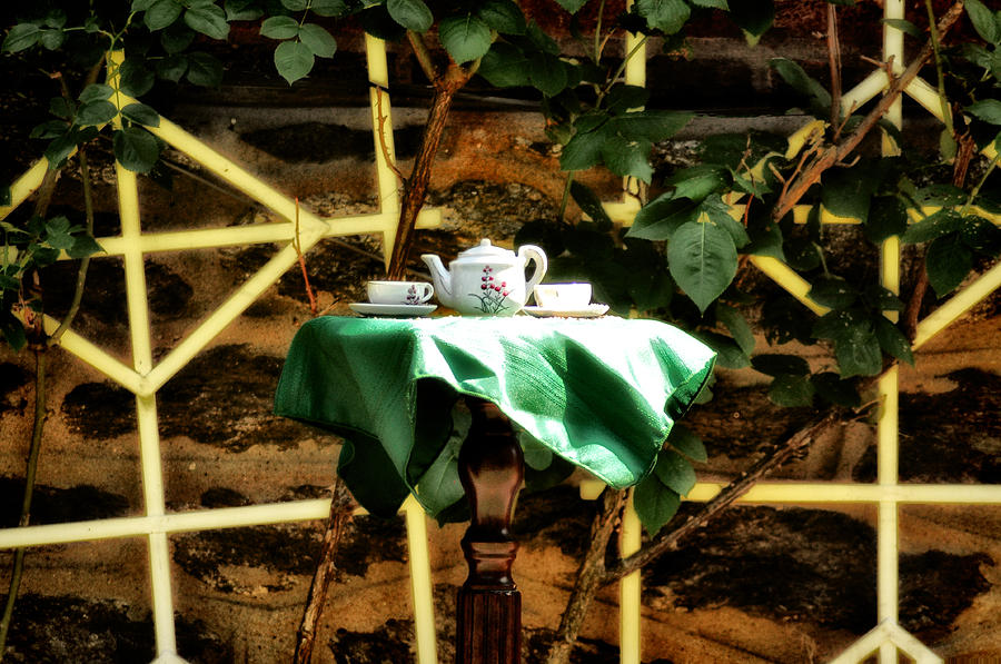 Tea Photograph - Tea in the Backyard by Bill Cannon