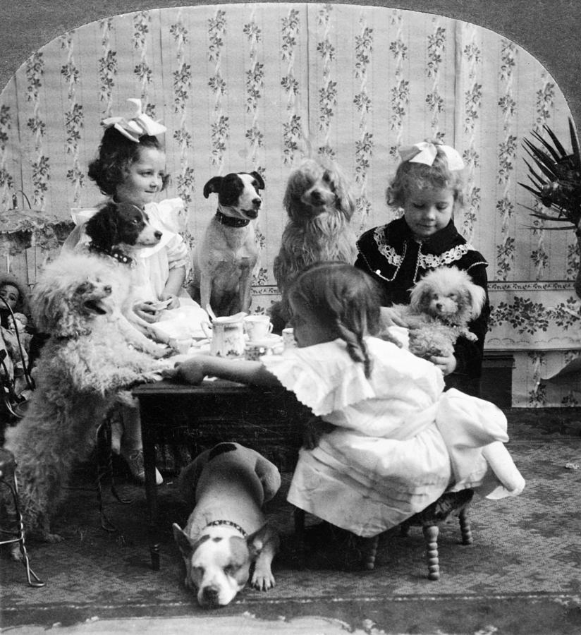 Tea Photograph - TEA PARTY, c1906 by Granger