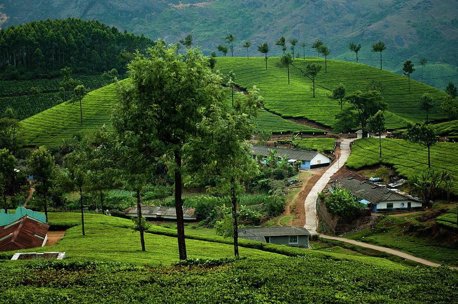 Tea Pickers Village Near Munnar Photograph by Ania Blazejewska