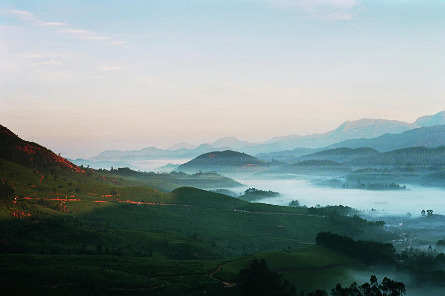Tea Plantation In India Photograph by Oleh slobodeniuk