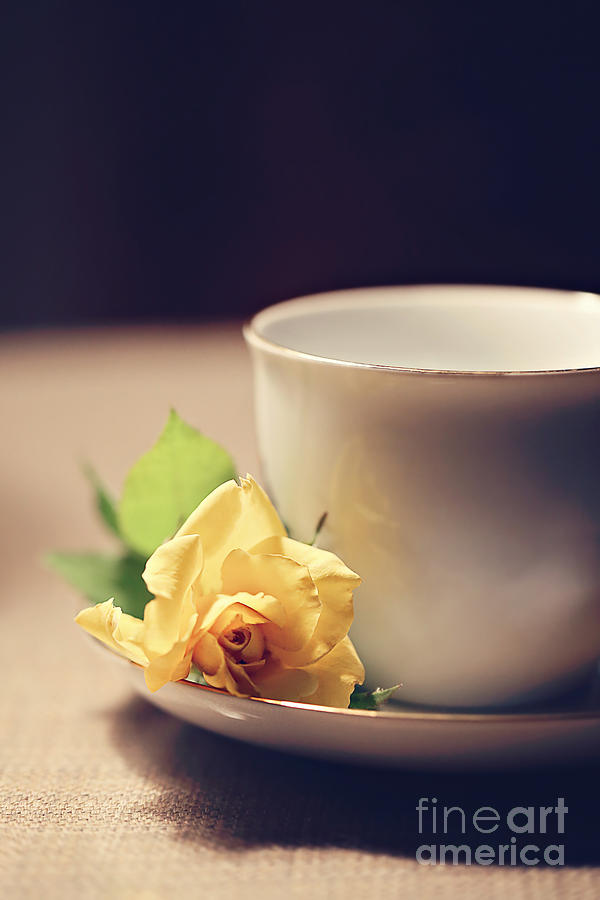 Still Life Photograph - Tea Time and Roses by Trish Mistric