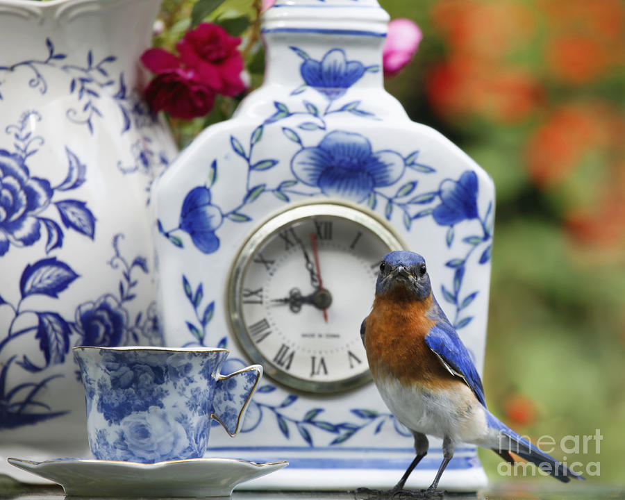 Blue Bird and Blue Tea Cup Photograph by Luana K Perez