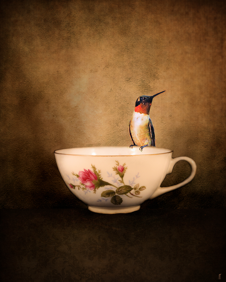 Tea Time With a Hummingbird 2 Photograph by Jai Johnson
