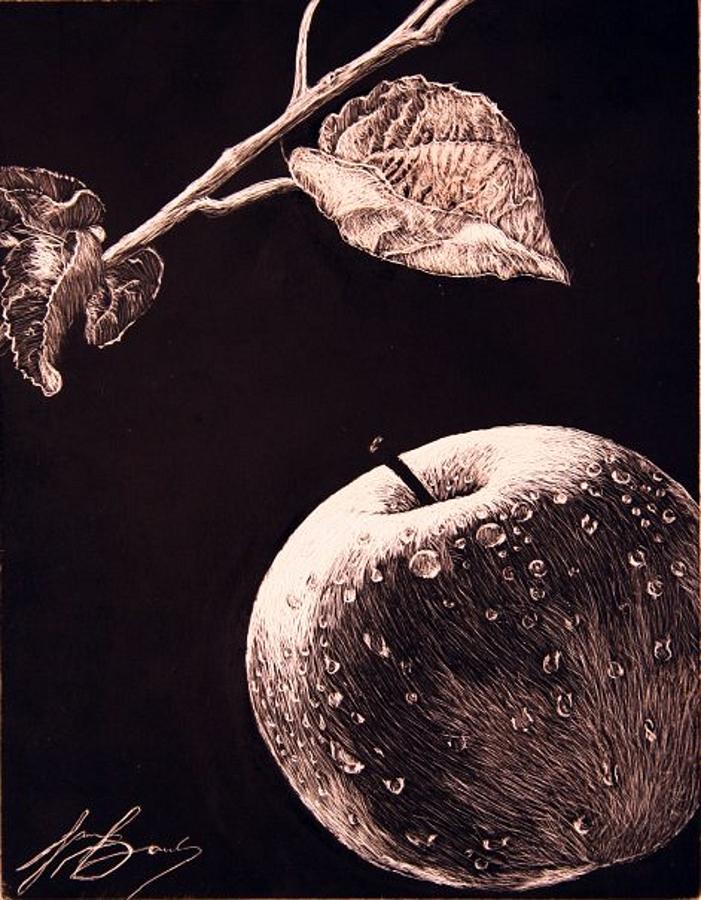 Apple Drawing - The Forbidden Fruit by Lawrence Saunders