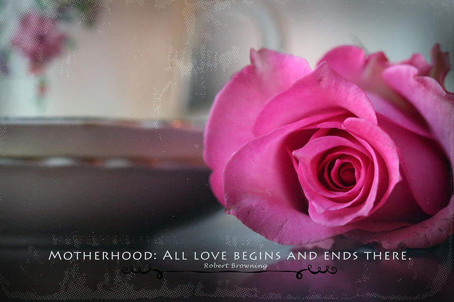 Teacup With Rose and Motherhood Quote Photograph by Karen Hart