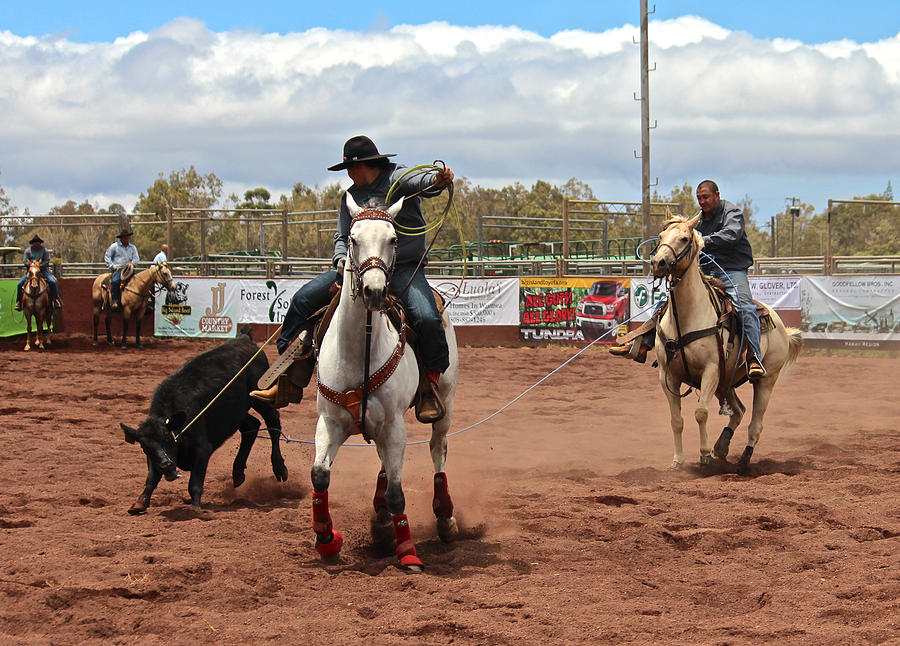 Horse Photograph - Team Roping at the Rodeo by Venetia Featherstone-Witty