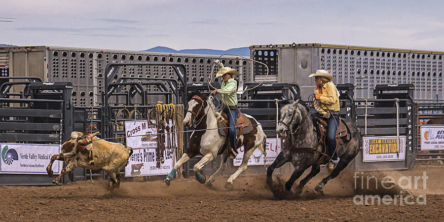 Team Roping Photograph by Priscilla Burgers